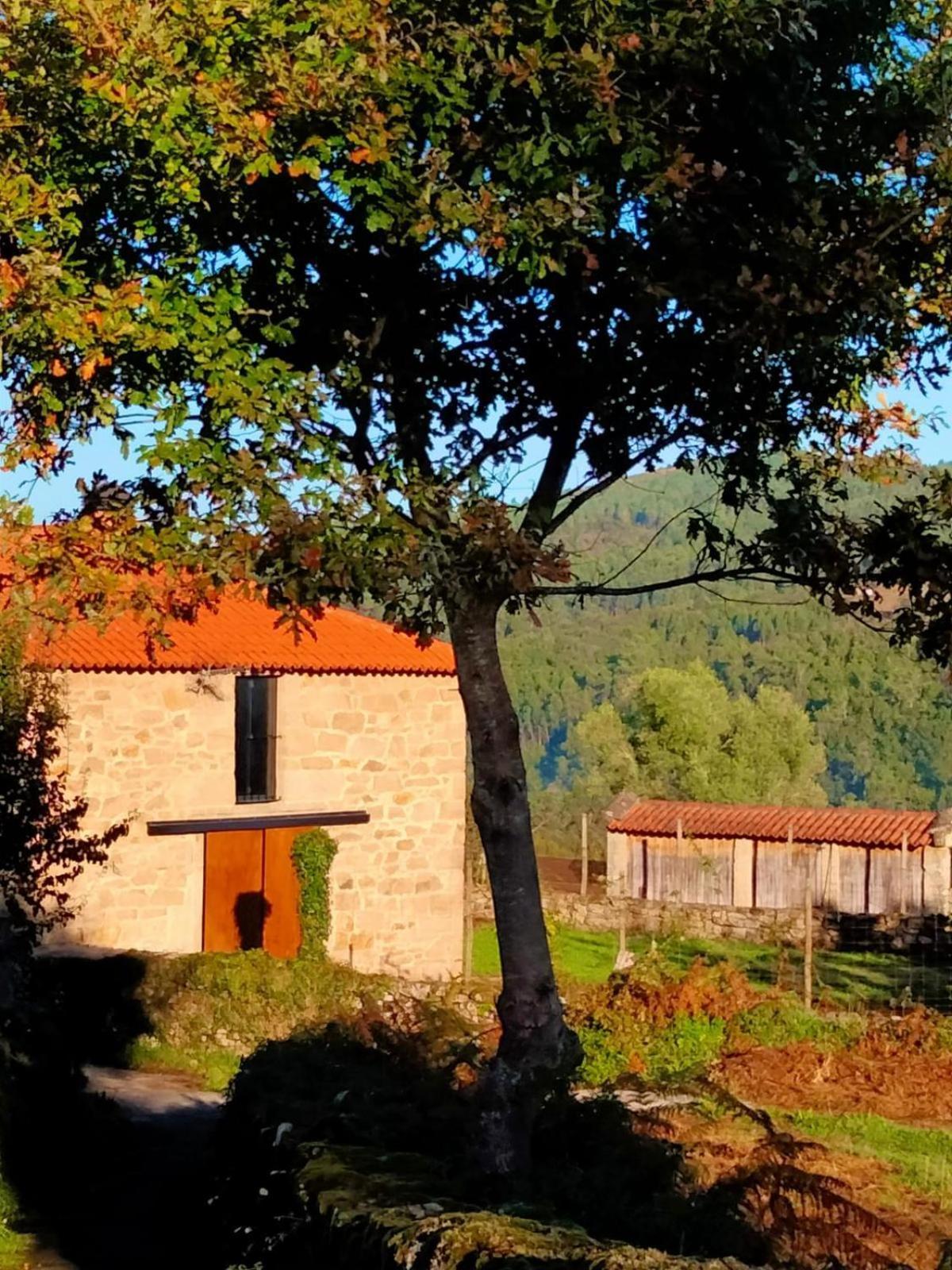Vive Una Escapada Rural Con Alma, Cerca De Todo Y Lejos Del Ruido Pontevedra Kültér fotó